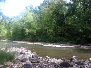 A river flows through a rocky forest.
